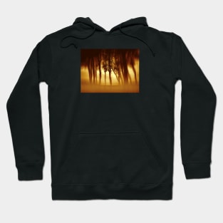 Morning Tree Silhouette(Sepia) Hoodie